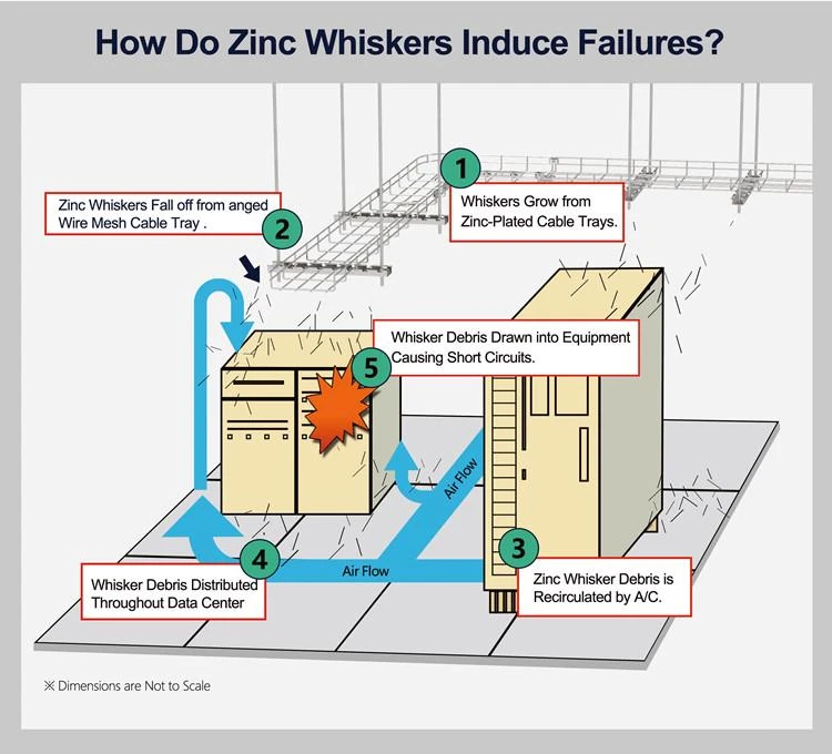 Zink Whisker 4_ 副本 Zinc Whisker 4_副本